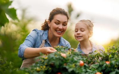 Enhance Your Southern Utah Garden with These 5 Amazing Vegetables