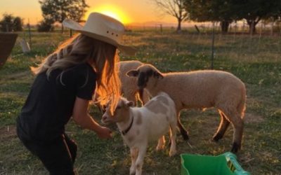 **Fisher Family Farm School: Embracing Learning, Faith & Patriotism in Hurricane, Utah**