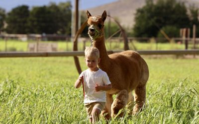 Discover the Charm of Fisher Family Farm: A Perfect Half-Day Adventure Near Zion National Park