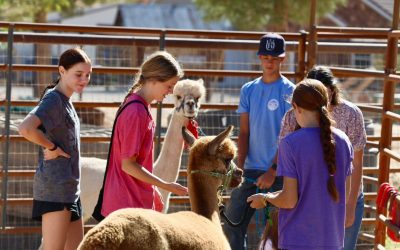 Fun and Festivities Await at Fisher Family Farm