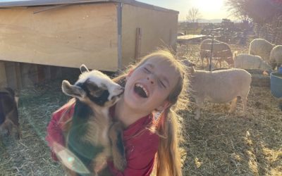 Baby Animal Days at The Farm During Parade of Homes!