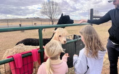 Essential Gear for a Fun-Filled Farm Visit