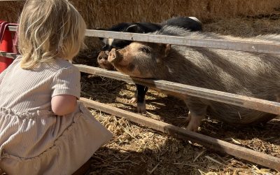 How to Care for Your New Farm Baby