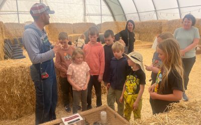 Explore, Learn, and Play at Farm School!