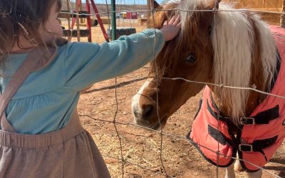 5 Reasons You Can’t Miss Baby Animal Days at The Farm