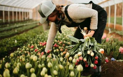 Blooming Together: Help Us Transplant Flowers at The Farm!