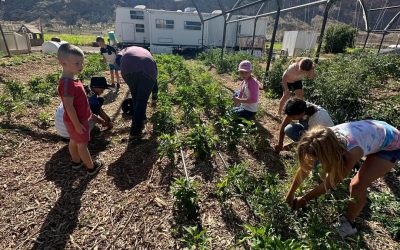 Big News: A Generous Donation Makes Farm Kids Camp More Affordable!