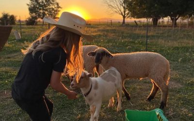 Sun-Kissed Adventures: A Day in the Life of a Farm Kid