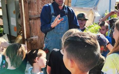Dive into Summer Fun at The Farm Kids Camps!