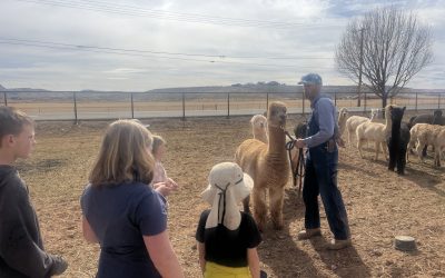 Discover the Joy of Farm Life with a Private Tour