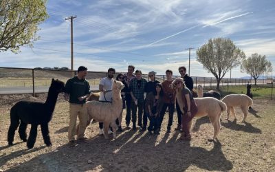 A Summer of Fun at The Farm: Where Memories Grow!