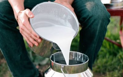 Fresh, Local Goat’s Milk Now Available at The Farm!
