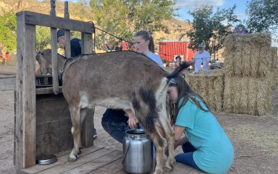 A Farmer’s Life for Me: What It’s Really Like to Work on a Farm