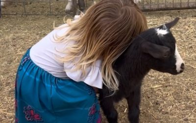 Why Animals Make the Best Summer Friends