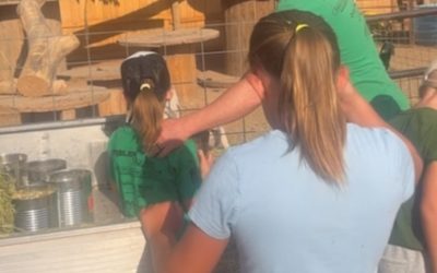 ☀️ Summer Farm Kids Camp: Where Hard Work Meets Farmyard Fun!