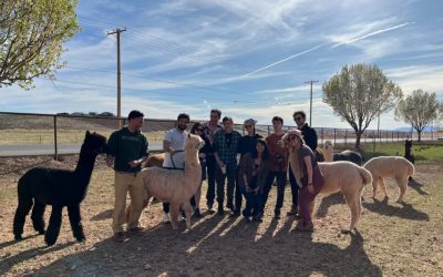 Season Passes at The Farm: Unlock a Year of Whimsy, Wonder, and Wheelbarrows