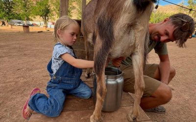 🌾 Farm School All Year Long: Where Curiosity Grows and Confidence Blooms