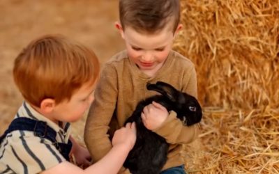 🐾 Little Hands, Big Hearts: Teaching Kindness Through Animal Care