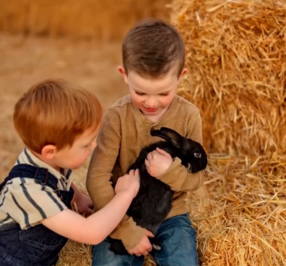 🐾 Little Hands, Big Hearts: Teaching Kindness Through Animal Care | The ...